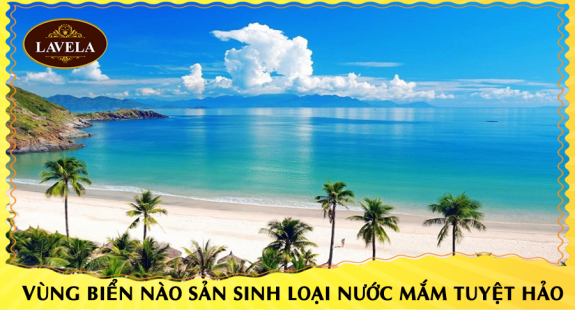 VÙNG BIỂN NÀO SẢN SINH RA LOẠI NƯỚC MẮM TUYỆT HẢO?